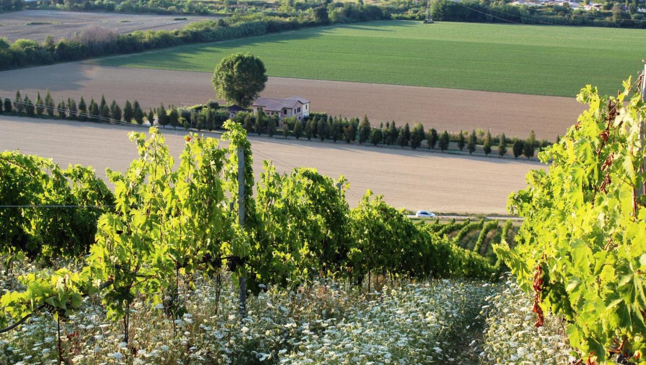Agriturismo Terralieta Розето-дельи-Абруцци Экстерьер фото