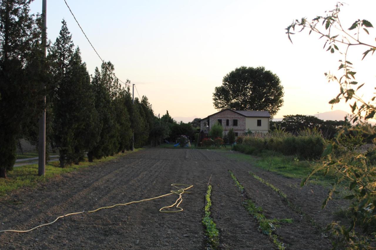 Agriturismo Terralieta Розето-дельи-Абруцци Экстерьер фото